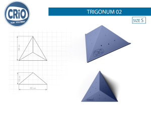 Практичный рельеф для скалолазания Crio Holds Trigonum 02