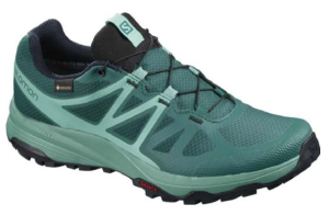 Спортивные кроссовки Salomon XaSiwaGtxWShaded 