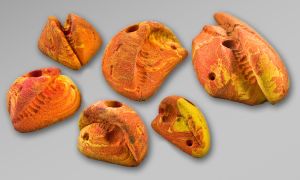 Микрозацепы Top Point #004