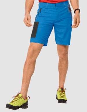 Софтшелл шорты для мужчин Jack Wolfskin Active Track Shorts Men