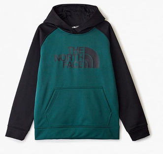 The North Face - Худи для мальчиков Surgent Pullover Hoodie