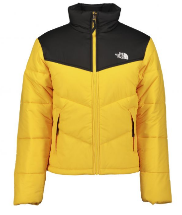 Спортивная куртка мужская The North Face Saikuru