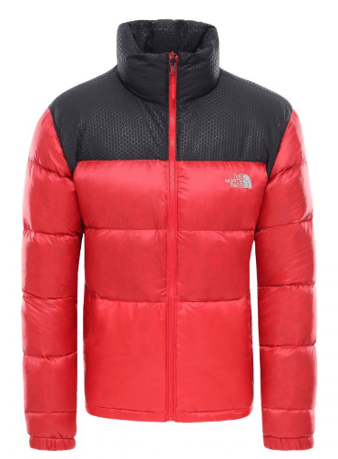 Спортивная куртка мужская The North Face Nevero Down