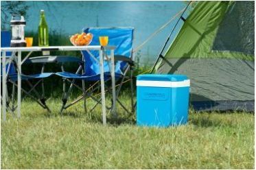 Контейнер изотермический Campingaz Icetime Plus 30