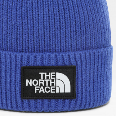 The North Face - Фирменная шапка Logo Box Pom