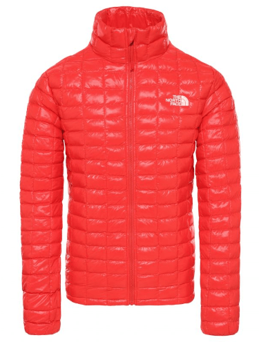 Спортивная куртка мужская The North Face Thermoball Eco