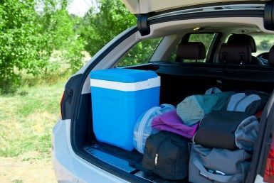Контейнер изотермический Campingaz Icetime Plus 30