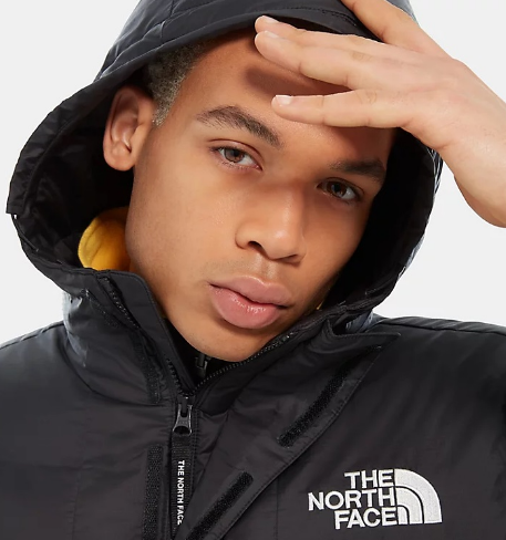 Спортивная куртка мужская The North Face Deptford Down