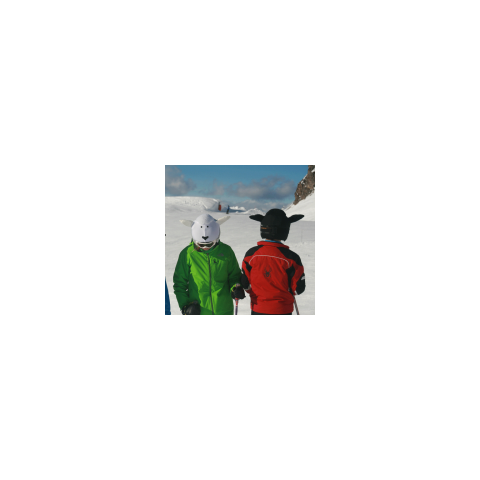 Нашлемник милый Coolcasc 029 Black sheep