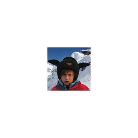 Нашлемник милый Coolcasc 029 Black sheep