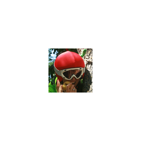 Чехол на шлем оригинальный Coolcasc S039 Apple with Worm