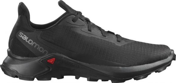 Спортивные кроссовки Salomon Alphacross 3 GTX W