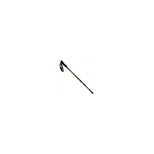 Палки классические телескопические Talberg Classic Pole
