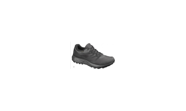 Кроссовки беговые Salomon Shoes Trailster 2 GTX