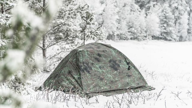 Двухместная палатка Forest Pro 2 Talberg