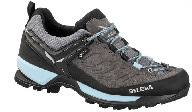 Женские ботинки Salewa WS MTN Trainer GTX