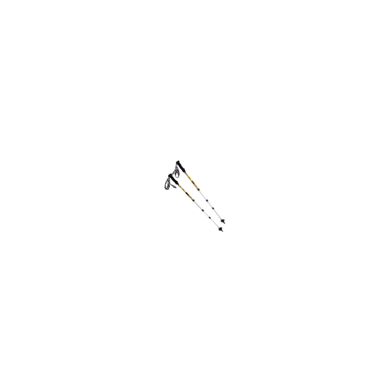 Всесезонные палки BTrace 4Point
