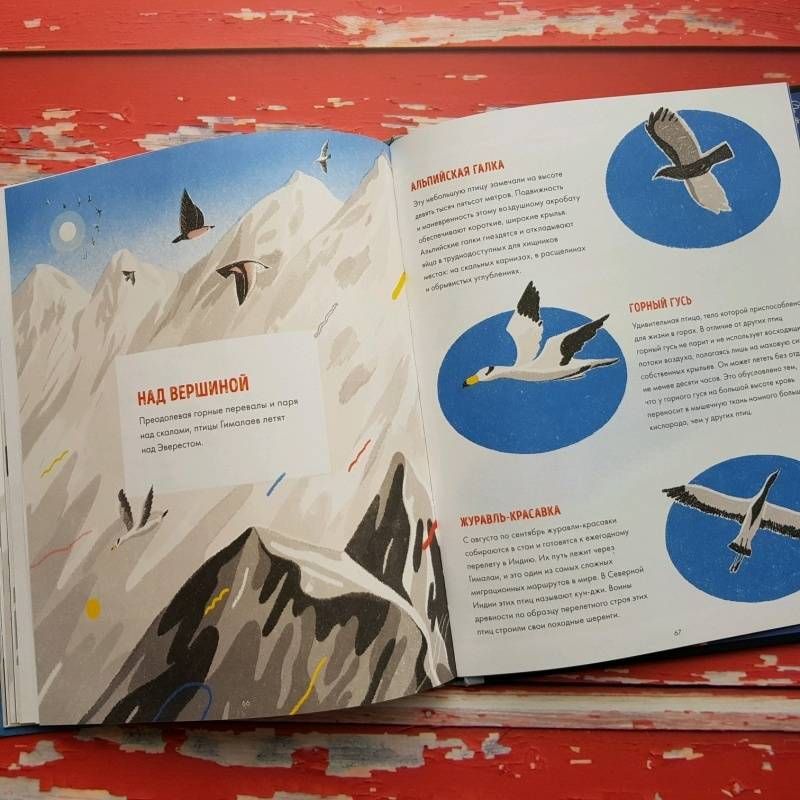 С. Фрэнсис - Книга о легендах и тайнах горы "Эверест"