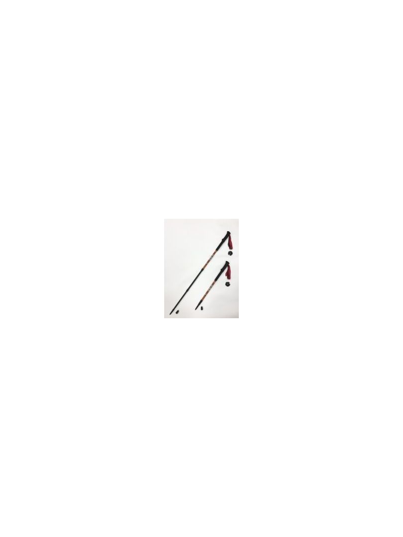 Палки треккинговые Talberg Ranger Pole