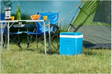 Контейнер изотермический Campingaz Icetime Plus 30
