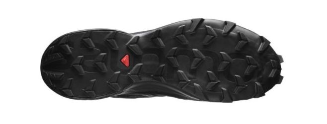 Мужские кроссовки для бега Salomon Speedcross 5 GTX