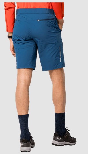Мужские шорты для туризма Jack Wolfskin Delta Shorts M
