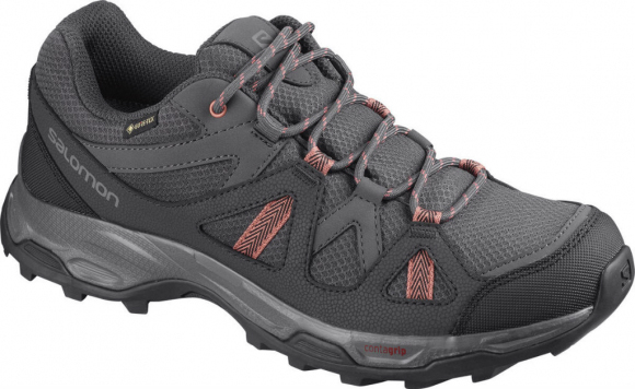 Кроссовки для туризма Salomon Rhossili GTX W