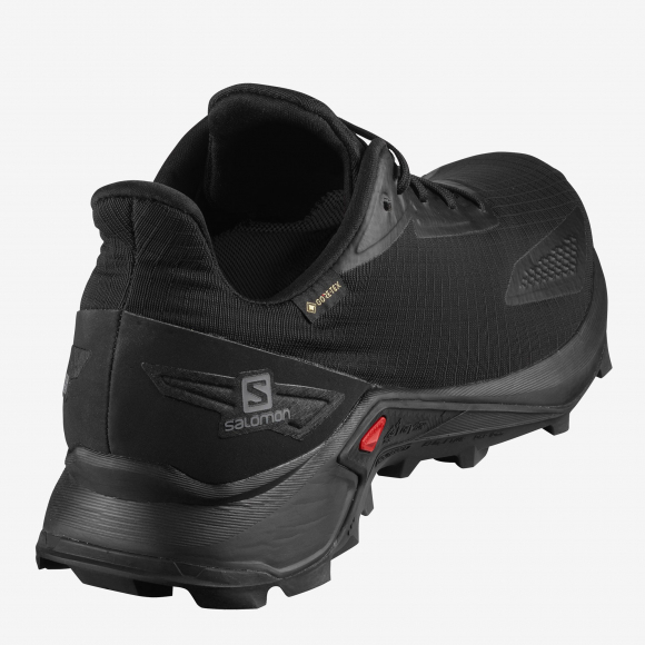 Спортивные кроссовки мужские Salomon Alphacross Blast GTX