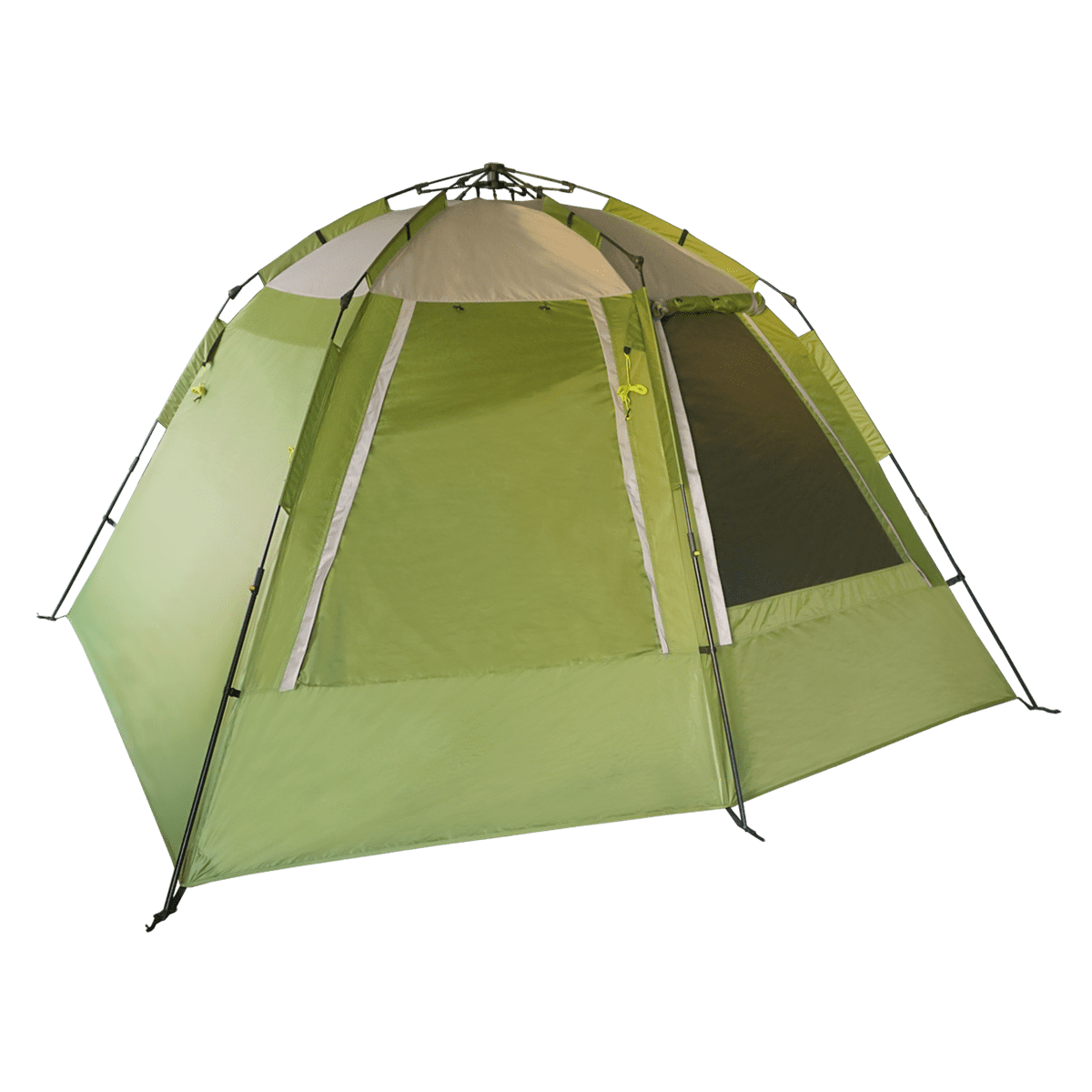 Вместительная походнапя палатка BTrace Express 4