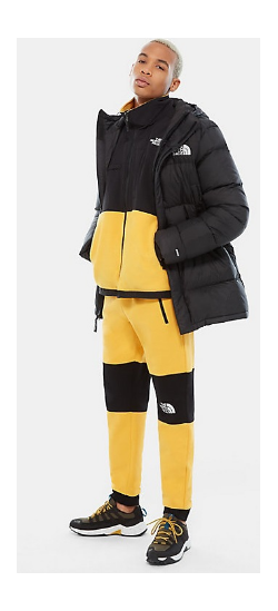 Спортивная куртка мужская The North Face Deptford Down