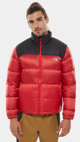 Спортивная куртка мужская The North Face Nevero Down