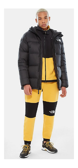 Спортивная куртка мужская The North Face Deptford Down