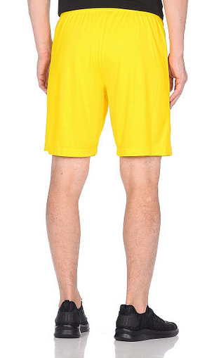 Puma - Шорты летние для тренировок BVB Shorts Replica