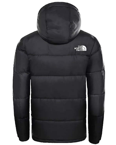 Спортивная куртка мужская The North Face Deptford Down