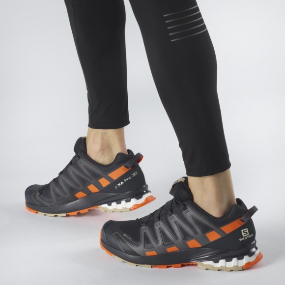 Кроссовки для бега Salomon XA Pro 3D v8 GTX