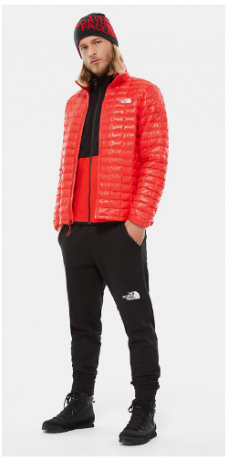 Спортивная куртка мужская The North Face Thermoball Eco