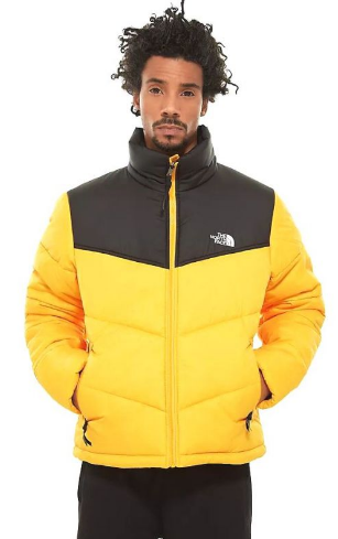 Спортивная куртка мужская The North Face Saikuru