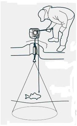 Humminbird - Датчик двулучевой HB-XI-9-20