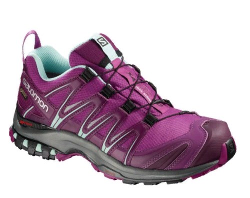 Salomon - Надежные кроссовки для женщин Shoes Xa Pro 3d Gtx W