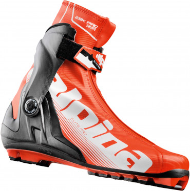 Лыжные ботинки Alpina ESK PRO (17-18)