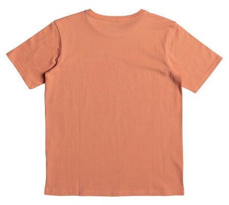 Quiksilver - Практичная детская футболка для мальчиков 540574