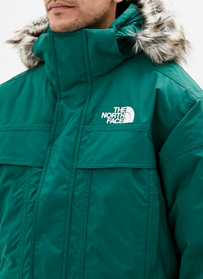 Теплая аляска The North Face Mcmurdo Parka