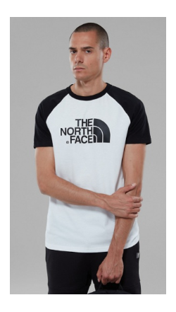 The North Face - Хлопковая футболка мужская SS Raglan Easy Tee