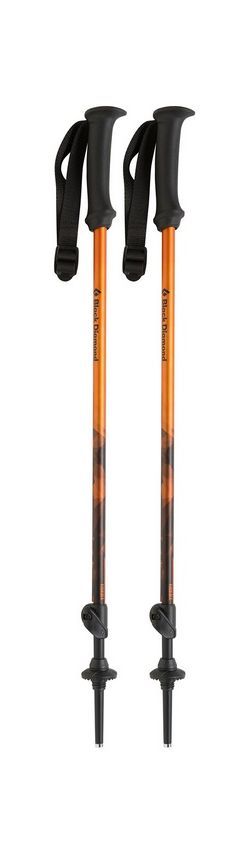Black Diamond - Треккинговые палки для детей First Strike Trekking Poles