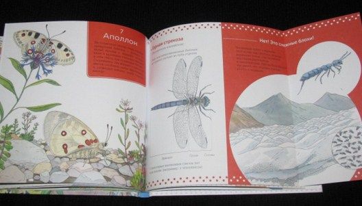 К.Пеллиссье, В.Аладжиди - Книга для детей  "Живая природа. В горах"