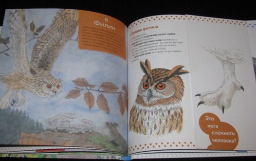 К.Пеллиссье, В.Аладжиди - Книга для детей  &quot;Живая природа. В горах&quot;